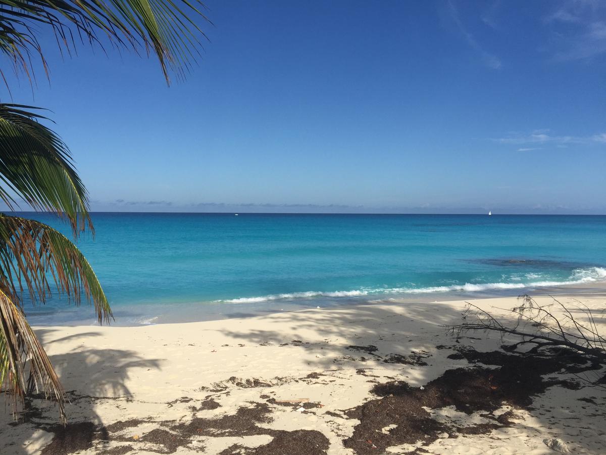 Bimini Seaside Villas - Pink Cottage With Beach View Alice Town  Exterior foto